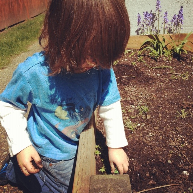 20120508-131724.jpg
