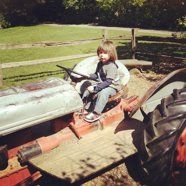 20120510-173753.jpg