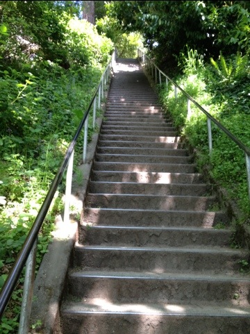 20120517-152355.jpg